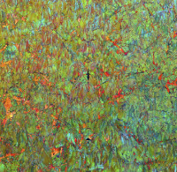 Photographic Artwork