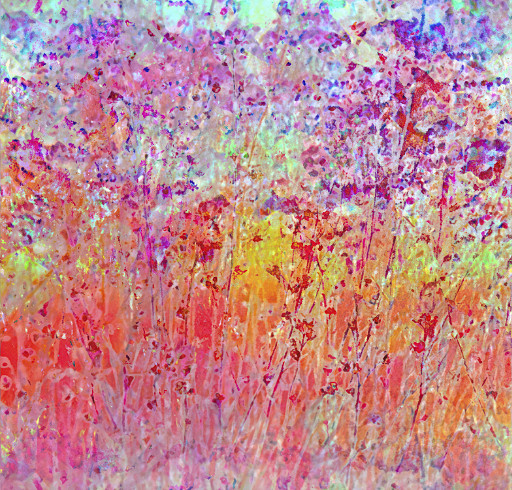 Photographic Artwork