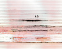 Photographic Artwork