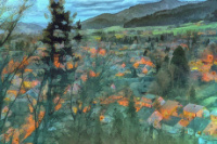 Photographic Artwork