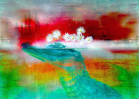 Photographic Artwork