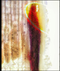 Photographic Artwork