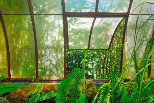 Photographic Artwork