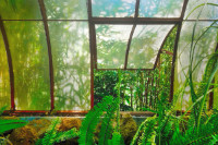 Photographic Artwork