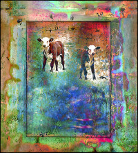 Photographic Artwork