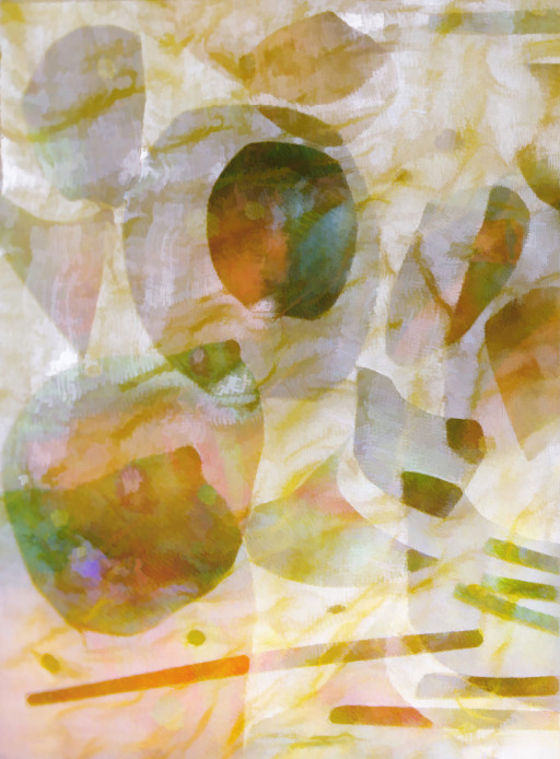 Photographic Artwork