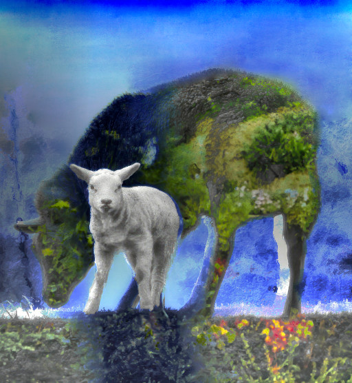 Photographic Artwork