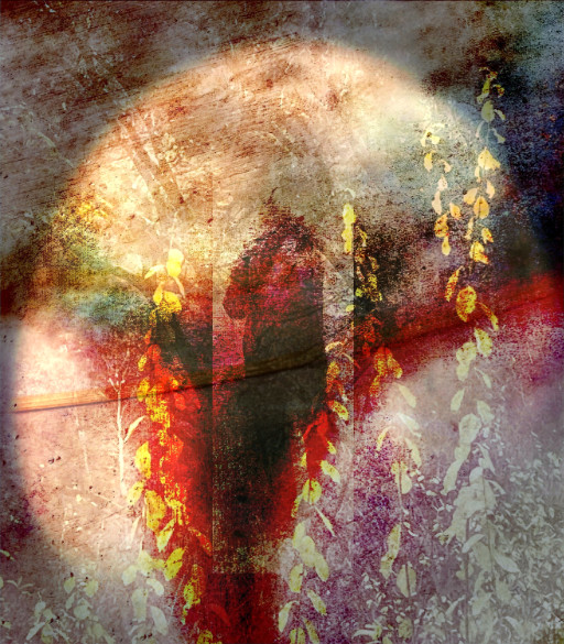 Photographic Artwork