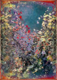 Photographic Artwork