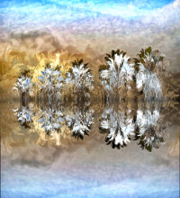 Photographic Artwork