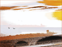 Photographic Artwork