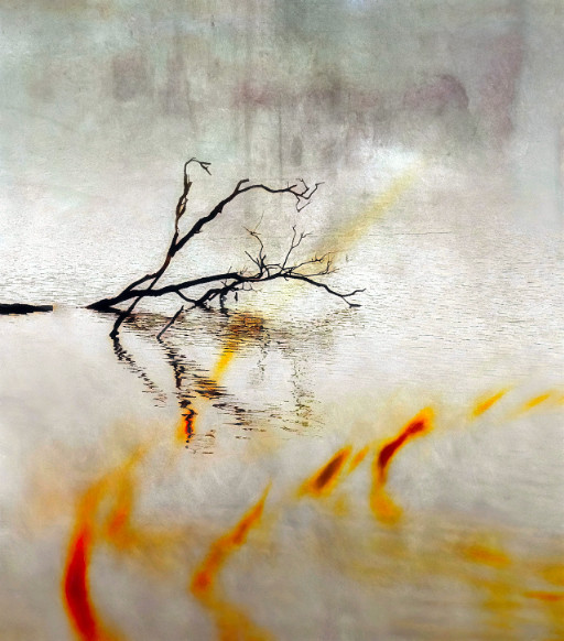 Photographic Artwork