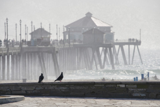 Photographic Artwork