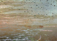 Photographic Artwork