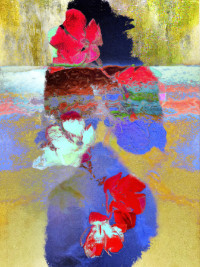 Photographic Artwork