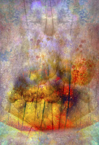 Photographic Artwork