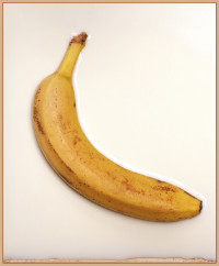 Photographic Artwork