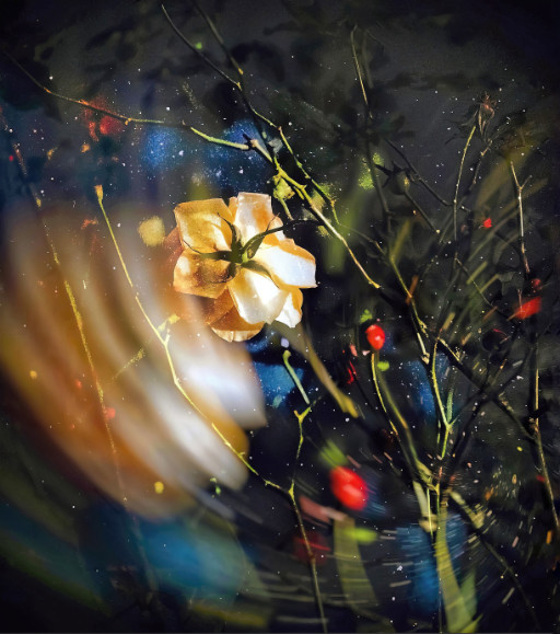 Photographic Artwork