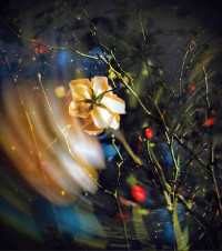 Photographic Artwork