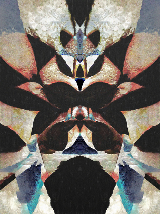 Photographic Artwork