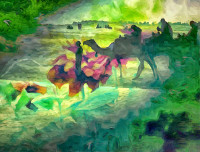 Photographic Artwork