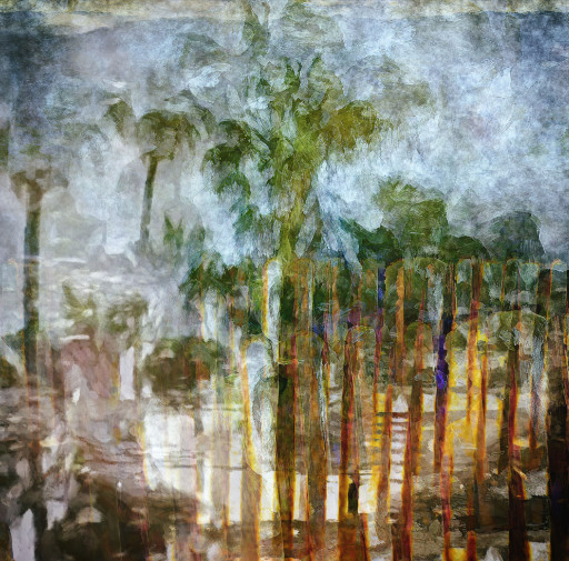 Photographic Artwork