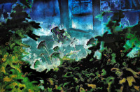 Photographic Artwork