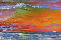 Photographic Artwork