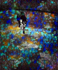 Photographic Artwork