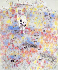 Photographic Artwork