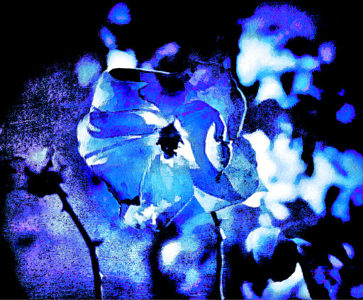 Photographic Artwork