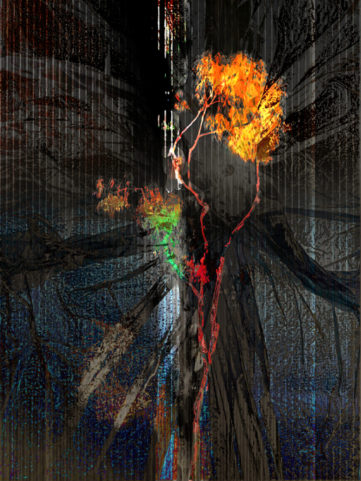 Photographic Artwork