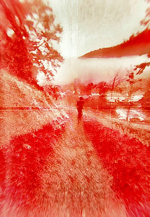 Photographic Artwork