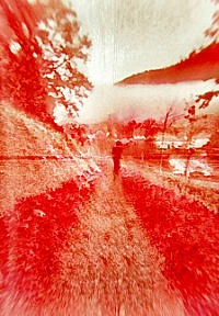 Photographic Artwork