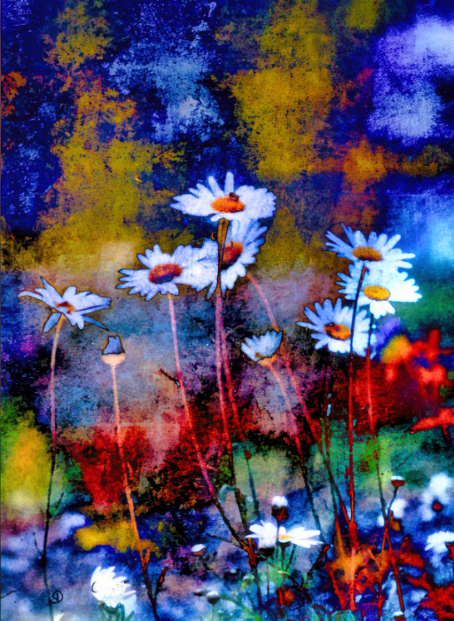 Photographic Artwork