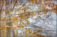 Photographic Artwork