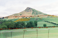 Photographic Artwork