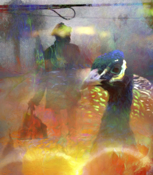 Photographic Artwork