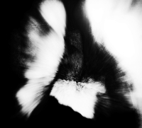 Photographic Artwork