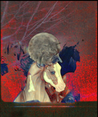 Photographic Artwork