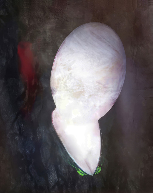 Photographic Artwork