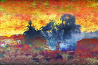 Photographic Artwork