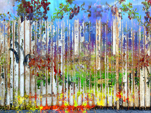 Photographic Artwork