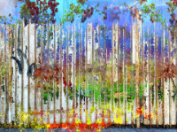 Photographic Artwork