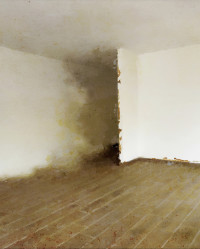 Photographic Artwork