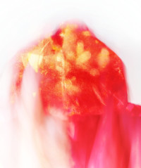 Photographic Artwork