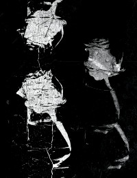 Photographic Artwork