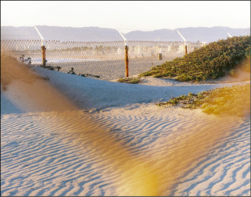 Photographic Artwork