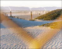 Photographic Artwork