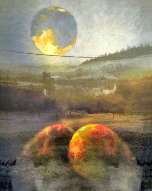 Photographic Artwork